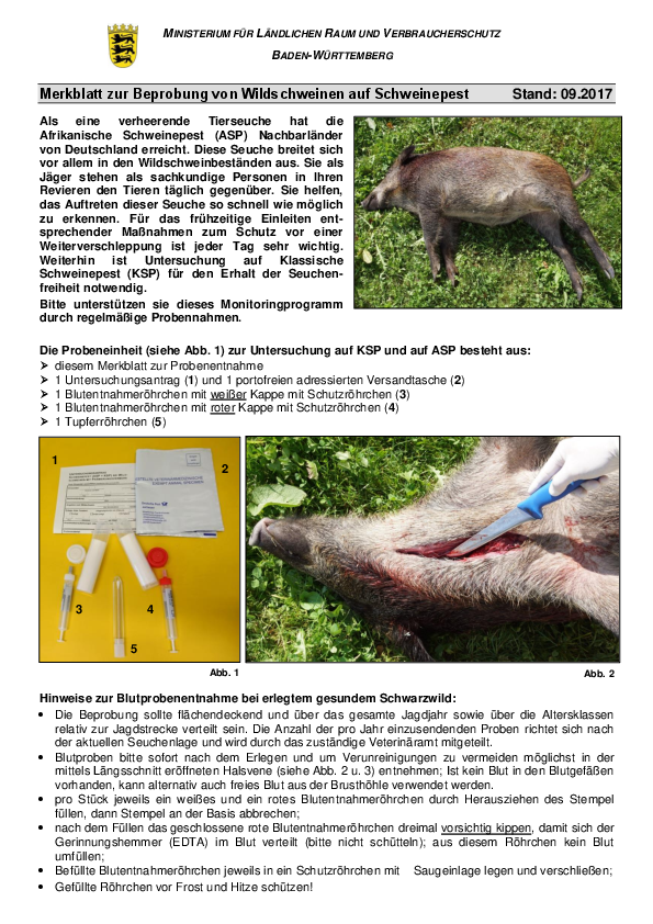 Merkblatt_Probenentnahme_Wildschwein pdf-preview