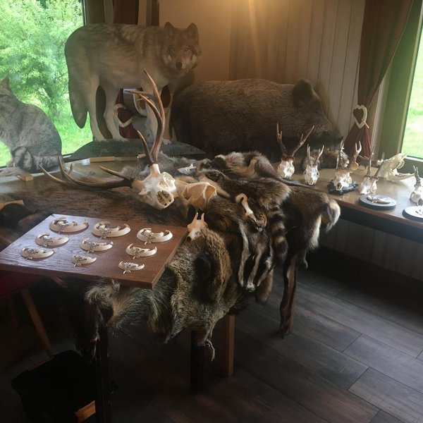 Tieraufsteller und Präparate