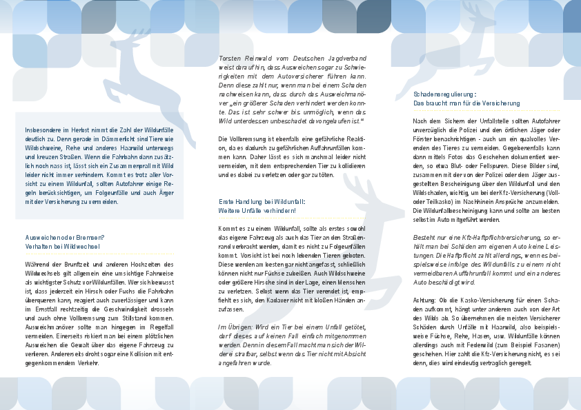 Wildunfall_Ratgeber pdf-preview